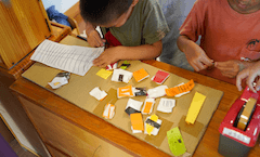 「やってみたい」を起点とした主体的な保育の展開